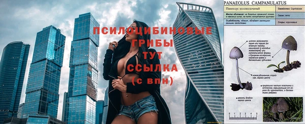 хмурый Богородск