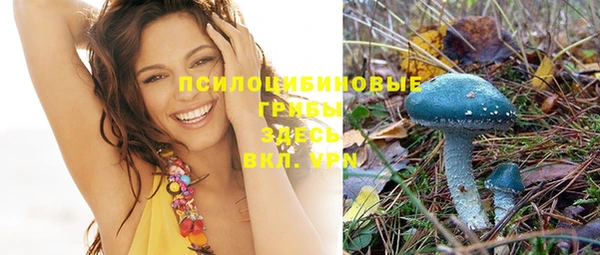 бошки Богородицк