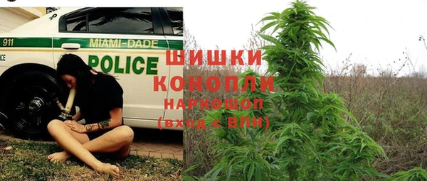 каннабис Богданович