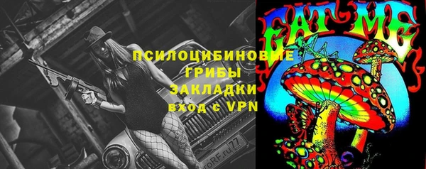 хмурый Богородск