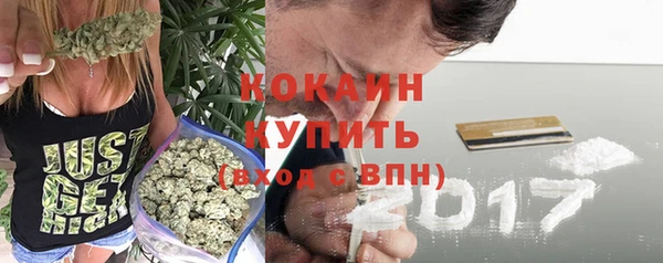 хмурый Богородск