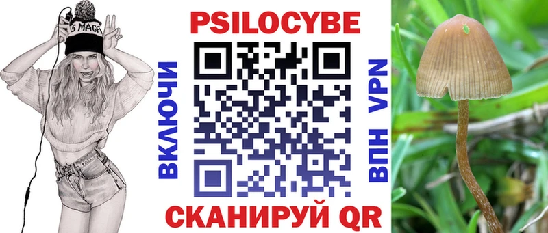 Псилоцибиновые грибы ЛСД  купить наркотики сайты  гидра ссылка  Гай 